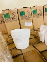 Overstock loads Pallets - Image 7