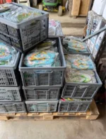 Mixed Flip Flops Pallets - Image 2